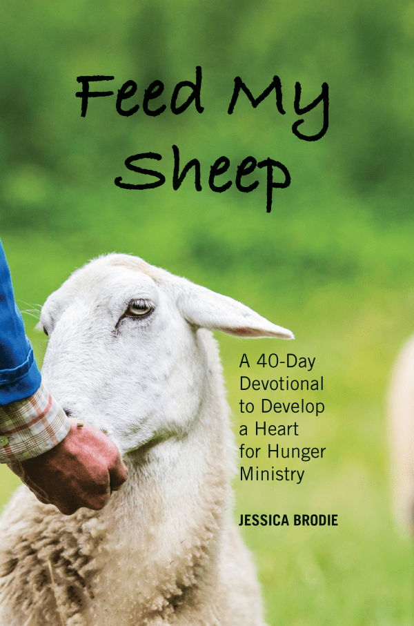 Feed My Sheep